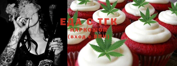 хмурый Алзамай