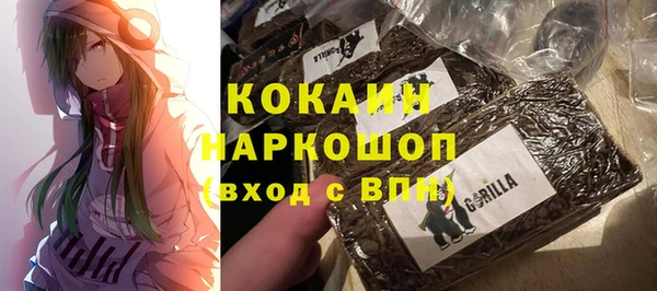хмурый Алзамай