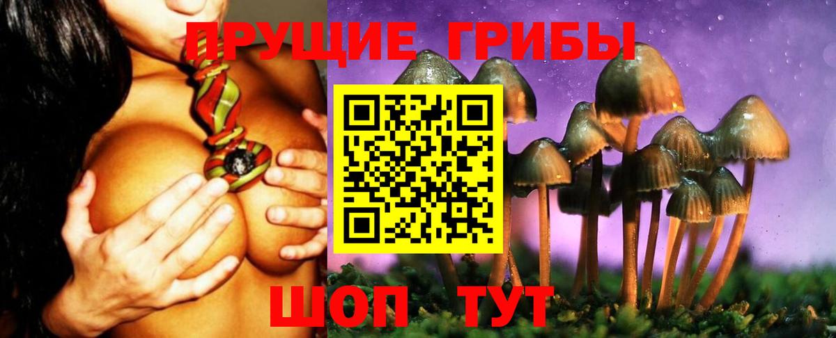 Ухта  Псилоцибиновые грибы мухоморы  Вход с VPN  Галлюциногенные грибы Cubensis 